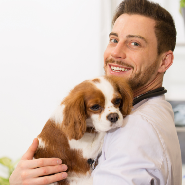 Vet and dog