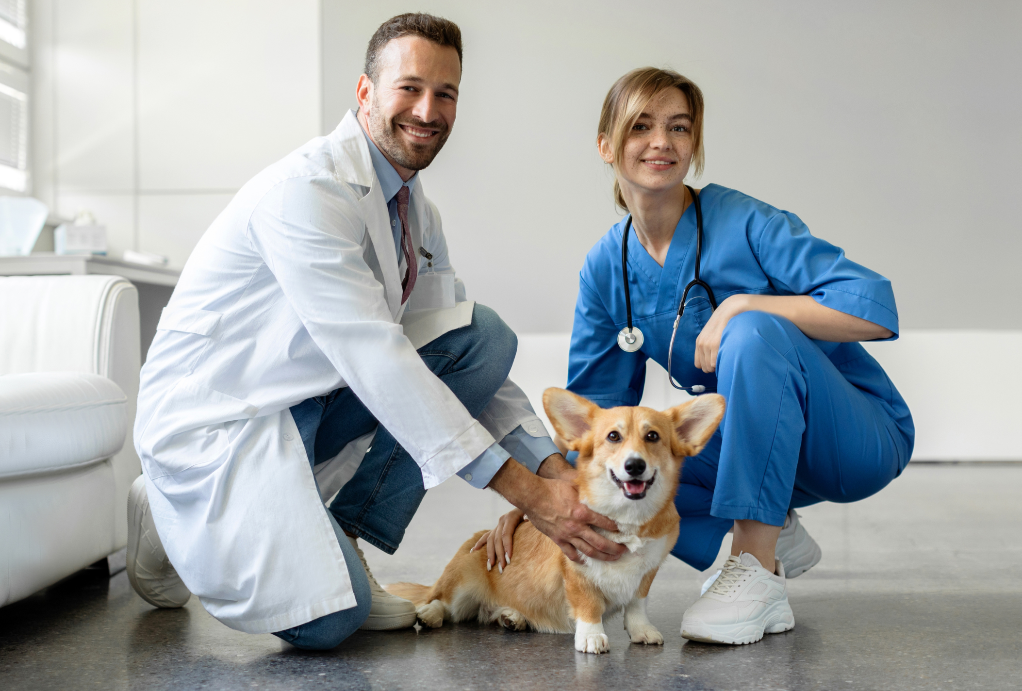 Male and female veterinarians with dog.